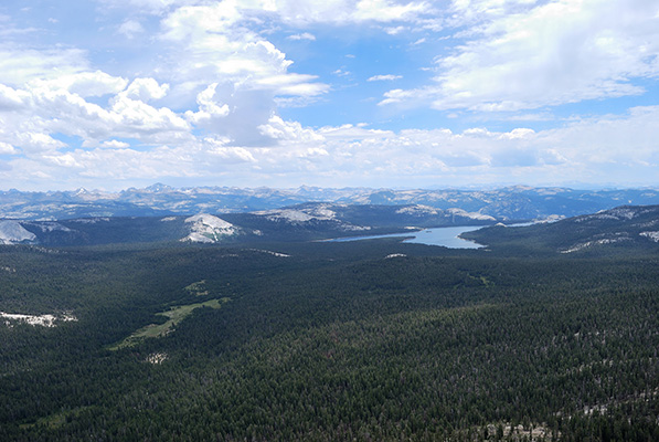 helms meadow